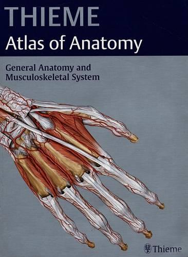 Thieme Atlas of Anatomy