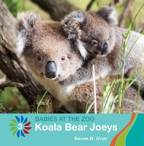 Koala Bear Joeys: (21st Century Basic Skills Library: Level 3: Babies at the Zoo)