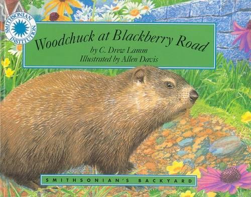 Woodchuck at Blackberry Road