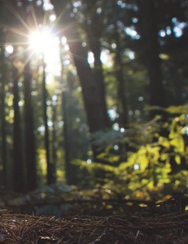 Notebook Large Size 8.5 x 11 Ruled 150 Pages