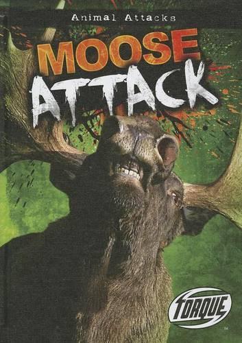 Moose Attack: (Animal Attacks)
