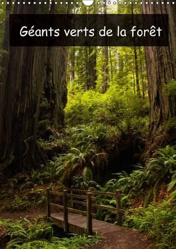 Geants Verts De La Foret 2017