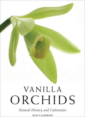 Vanilla Orchids