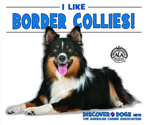 I Like Border Collies!: (Discover Dogs with the American Canine Association)