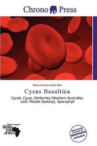 Cycas Basaltica