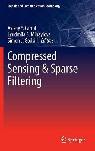 Compressed Sensing & Sparse Filtering