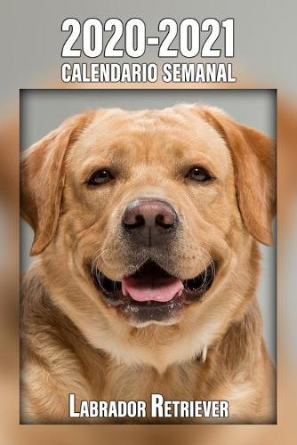 2020-2021 Calendario Semanal Labrador Retriever