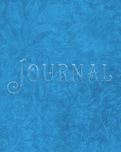 Journal: 110 Lined Journal Pages / Notebook / Diary / 8 x 10