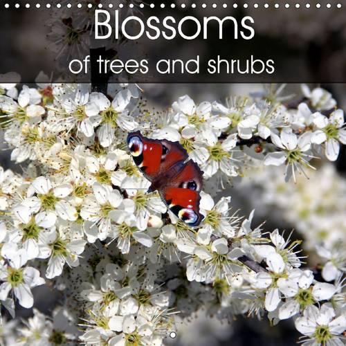 Blossoms of trees and shrubs 2016