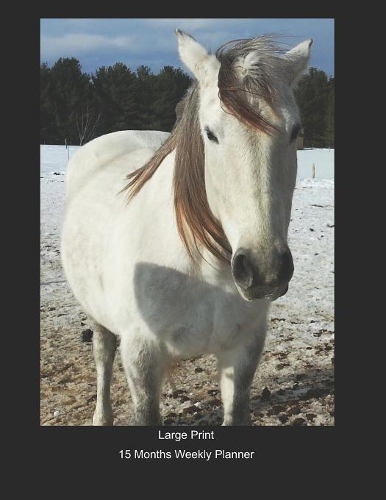 Large Print - 2020 - 15 Months Weekly Planner - I Love Horses - White Horse