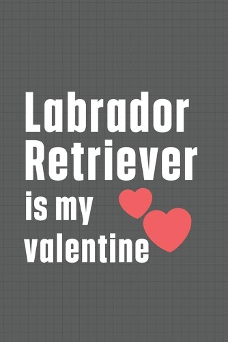 Labrador Retriever is my valentine: For Lagotti Romagnoli Dog Fans