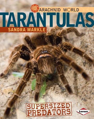 Tarantulas: Supersized Predators(Arachnid World)
