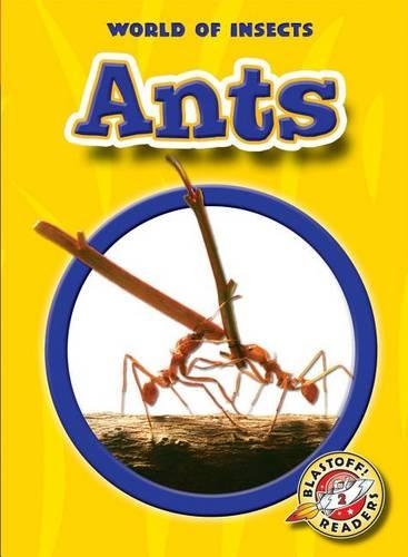 Ants: (World of Insects)