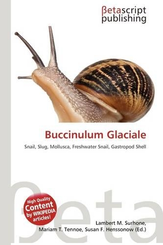 Buccinulum Glaciale