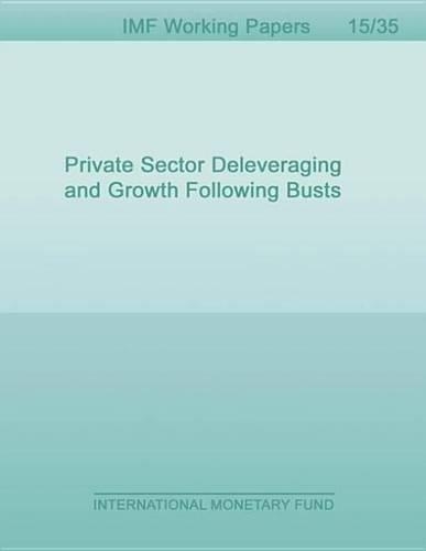 Private Sector Deleveraging and Growth Following Busts