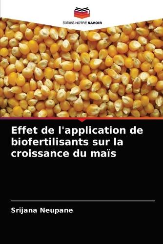 Effet de l'application de biofertilisants sur la croissance du maïs