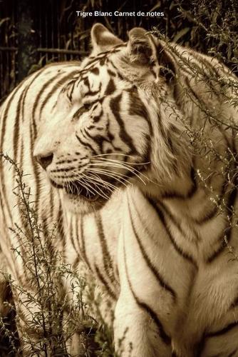 Tigre Blanc Carnet de notes: Journal ligné de 119 pages- Une belle idée de cadeau pour les amoureux des animaux
