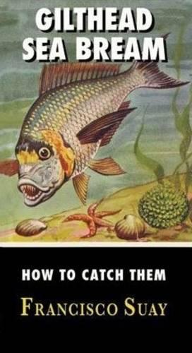 Gilthead Sea Bream