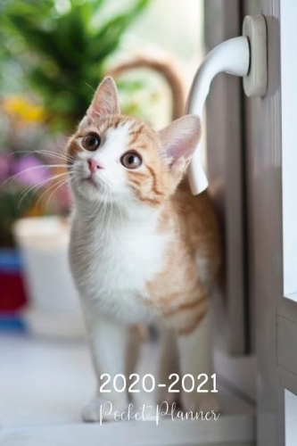 2020-2021 Pocket Planner: Cat Lovers Calendar Christmas Gifts - Two Year Planner - US Federal Holidays - Calendar and Organizer - 24 Months Agenda