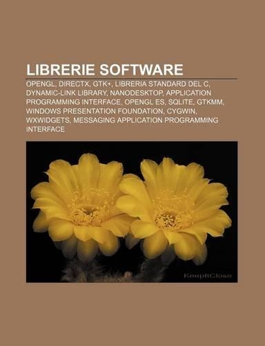 Librerie Software: OpenGL, DirectX, Gtk+, Libreria Standard del C, Dynamic-Link Library, Nanodesktop, Application Programming Interface
