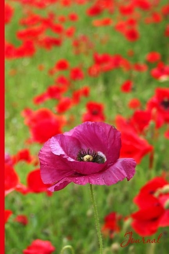Journal: Poppy Field 6x9 Inch (152.4mmx228.6mm) 100 Page 200 Sides, Blank Lined Journal(6 Wildflower & Blossom)