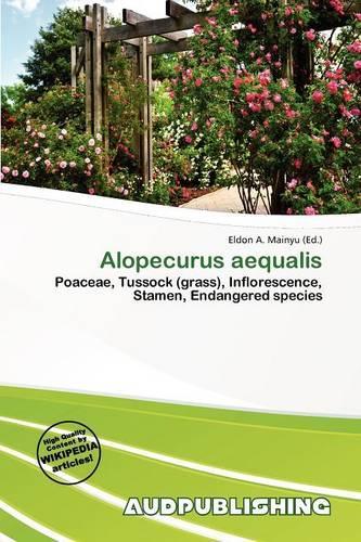 Alopecurus Aequalis