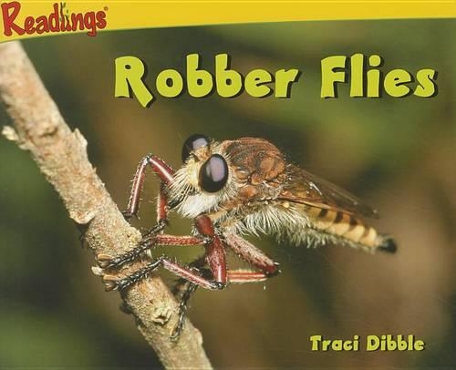 Robber Flies