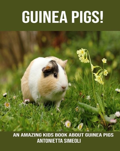 Guinea pigs! An Amazing kids Book About Guinea pigs