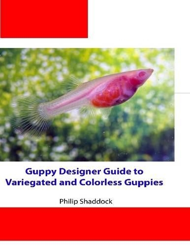 Guppy Designer Guide to Variegated and Colorless Guppies