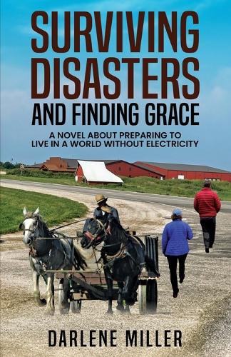 Surviving Disasters and Finding Grace: A Novel about Preparing to Live in a World Without Electricity
