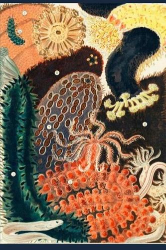 The Great Barrier Reef Journal: Research and Writing Notebook 6 X 9 120 Pages Lined for Notes