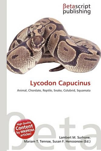 Lycodon Capucinus