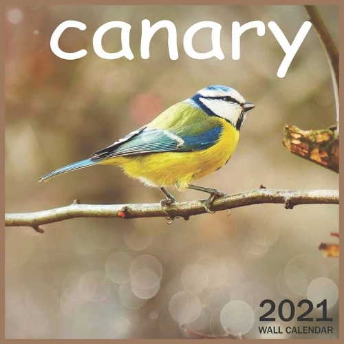 2021 canary: 2021 Wall & Office Calendar, 12 Month Calendar