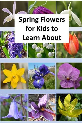 Spring Flowers for Kids to Learn About