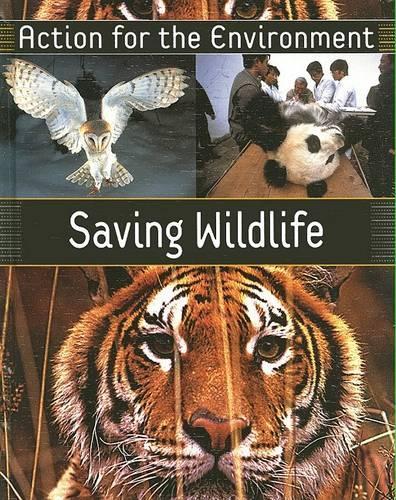 Saving Wildlife: (Action for the Environment)