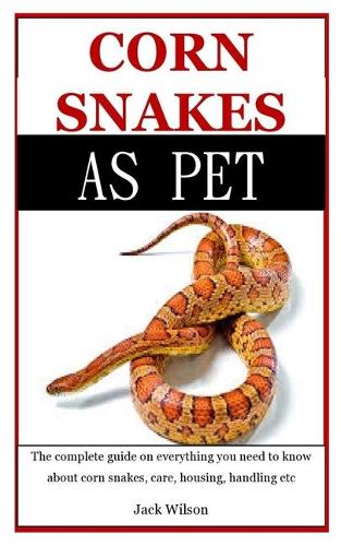 Corn Snakes As Pet