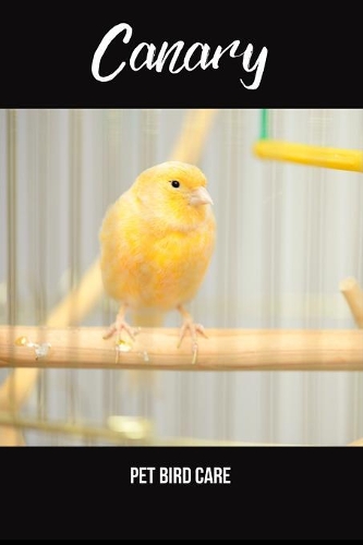 Canary Pet Bird Care