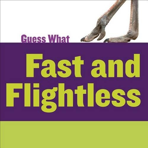 Fast and Flightless: Ostrich(Guess What)