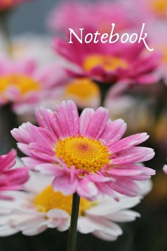 Notebook: Notebook / Planner / Journal / Diary with lovely Summer Meadow Cover - 120 pages - 6x9 - wide ruled paper