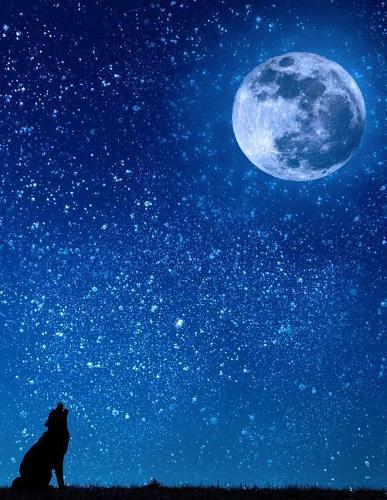 Moon Notebook: 8.5 X 11 202 Wide Ruled Pages