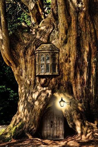 Fantasy Fairytale Miniature House in a Tree Journal