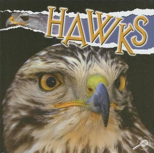 Hawks