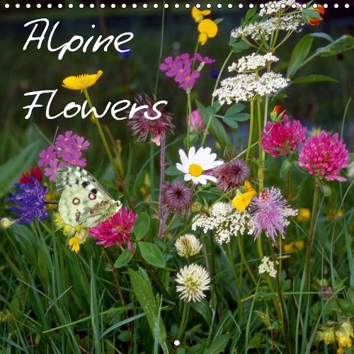 Alpine Flowers 2019