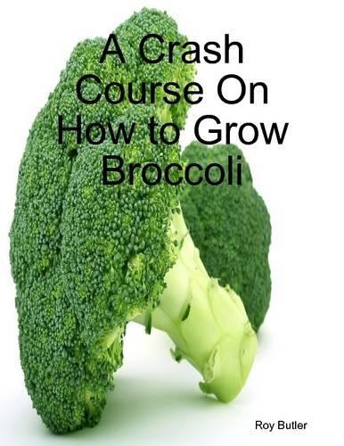 A Crash Course On How to Grow Broccoli